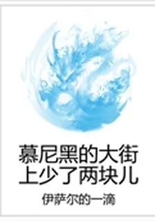 慕尼黑的大街上少了兩塊兒 封面