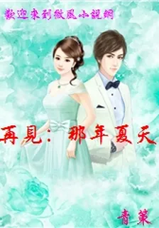 再見：那年夏天 封面
