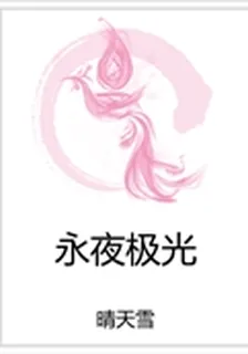 永夜極光 封面