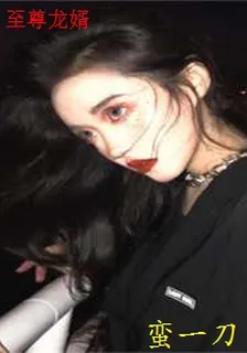 至尊龍婿 封面