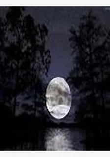 異世仙遊 封面