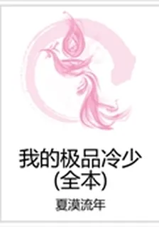 我的極品冷少（全本） 封面