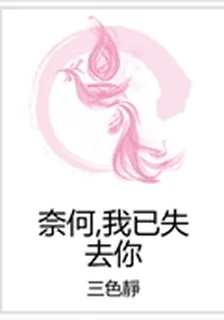 奈何,我已失去你 封面