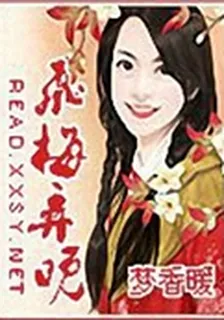 飛梅弄晚 封面