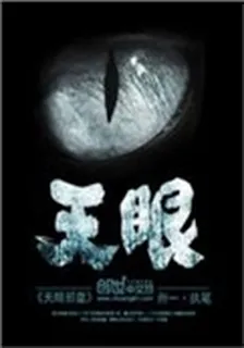 天眼邪皇 封面