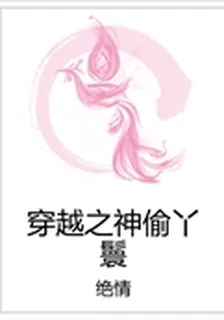 穿越之神偷丫鬟 封面