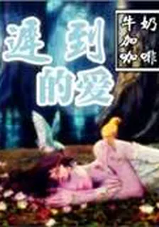 遲到的愛 封面