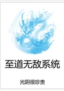 至道無敵系統 封面