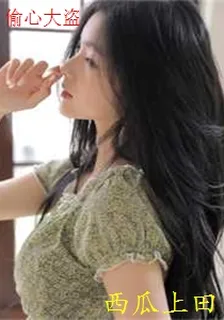 偷心大盜 封面