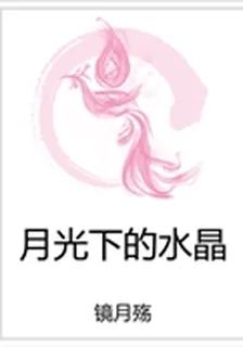 月光下的水晶 封面