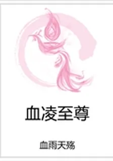 血凌至尊 封面