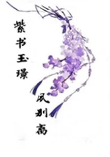 紫書玉璟夙別離 封面