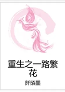 重生之一路繁花 封面