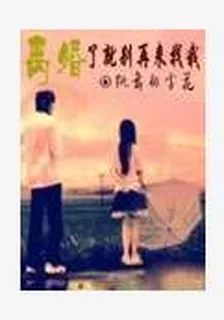 離婚了就別再來找我 封面