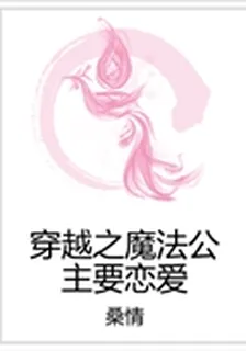 穿越之魔法公主要戀愛 封面