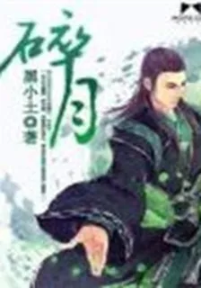 碎月 封面