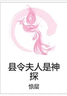 縣令夫人是神探 封面