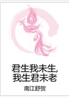 君生我未生,我生君未老 封面