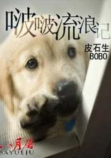 啵啵流浪記 封面