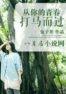 从你的青春打马而过 封面