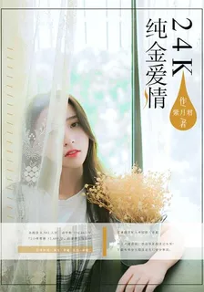 24K纯金爱情 封面