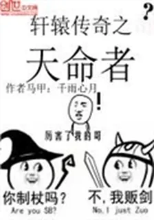 軒轅傳奇之天命者 封面