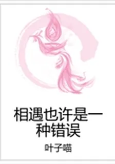 相遇也許是一種錯誤 封面