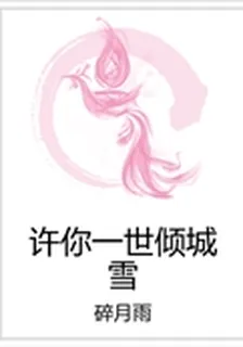 許你一世傾城雪 封面