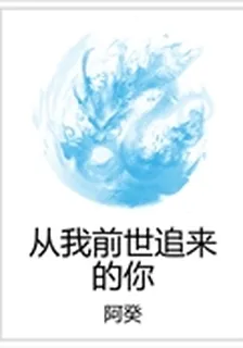 從我前世追來的你 封面