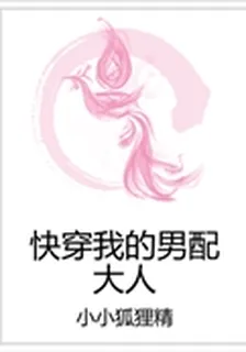 快穿我的男配大人 封面