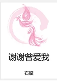 謝謝曾愛我 封面
