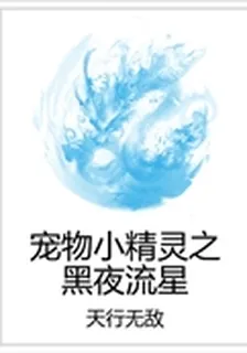 寵物小精靈之黑夜流星 封面