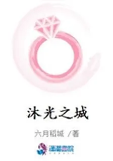 沐光之城 封面