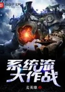 系統流大作戰 封面