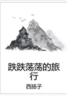 跌跌蕩蕩的旅行 封面