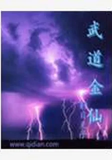 武道金仙 封面