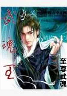 武魂王 封面