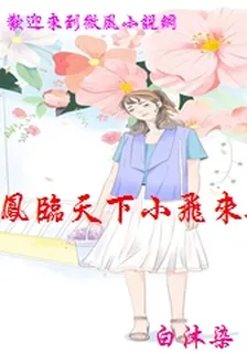 鳳臨天下小飛來也 封面