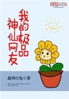 我的極品神仙網友 封面