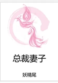 總裁妻子 封面
