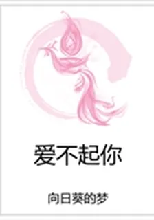 愛不起你 封面