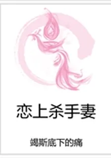 戀上殺手妻 封面