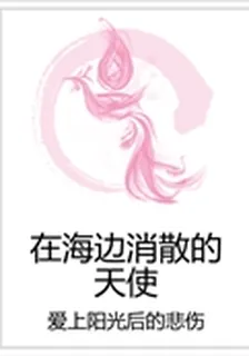 在海邊消散的天使 封面