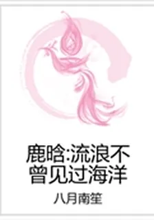 鹿晗：流浪不曾見過海洋 封面