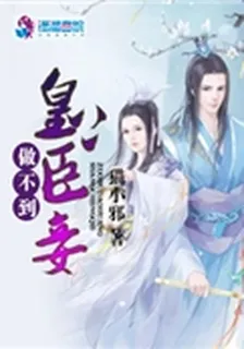 皇上臣妾做不到 封面