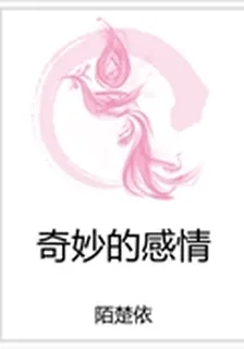 奇妙的感情 封面