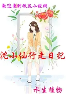 沈小仙行走日記 封面