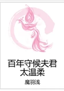 百年守候夫君太溫柔 封面