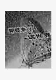 蝴蝶來過這世界 封面