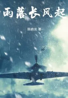 雨落長風起 封面
